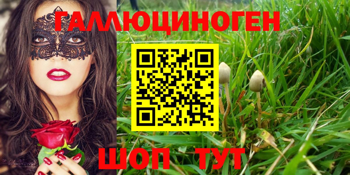 Бирск  Галлюциногенные грибы MAGIC MUSHROOMS  Вход с VPN 